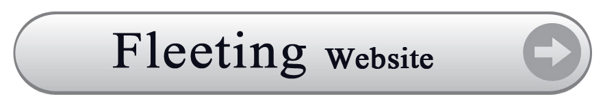 Fleeting Website