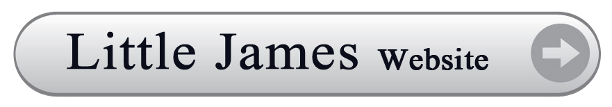 Little James Website