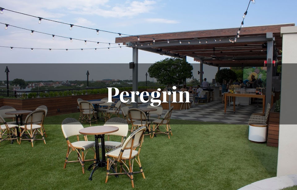 Peregrin