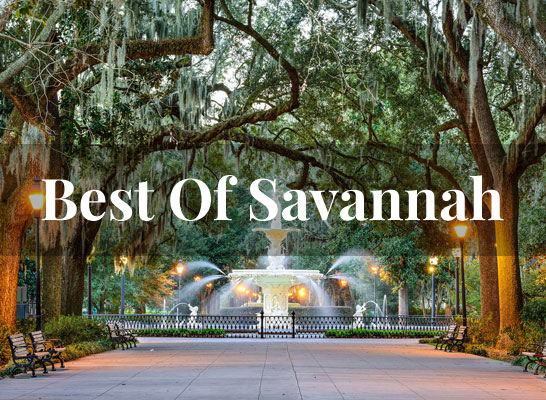 Best Of Savannah